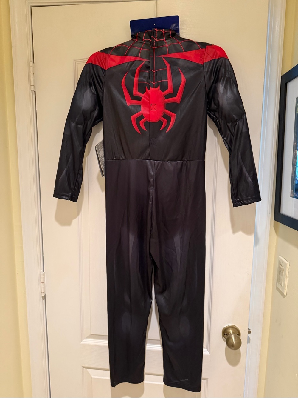 Disney Parks official Spider Man Costume - Youth 7/8 - New With Tags - Halloween - Picture 2 of 5